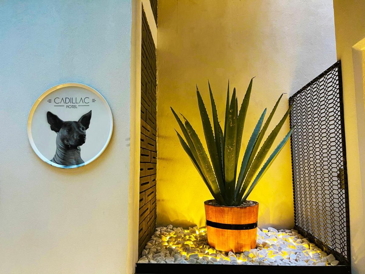 Cadillac Cocoon Beds Mexico City Luaran gambar